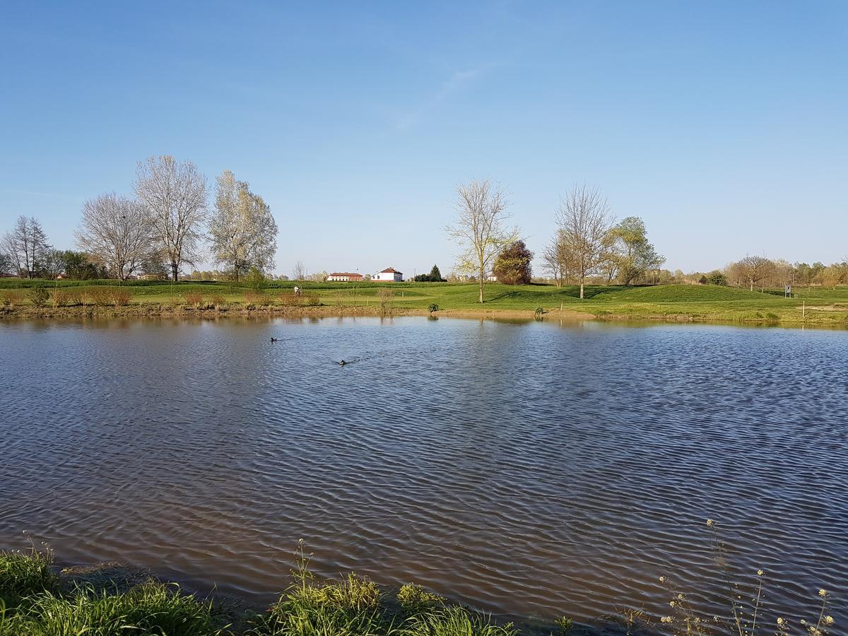 Locanda Ferro Uno, Golf Citta Di Асти Экстерьер фото